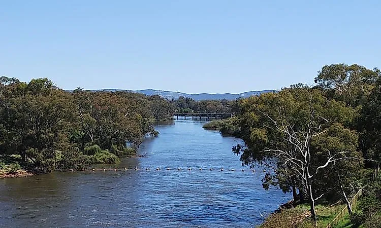 #5 Murray River (South Australia)