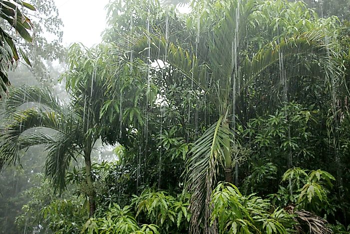 What Type Of Climate Does Cambodia Have?