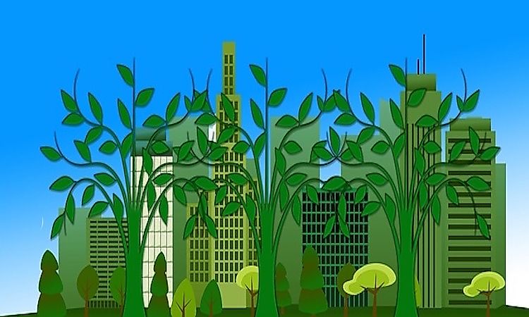 The Concept Of Eco-Efficiency: Why Is It So Important For The Modern World?