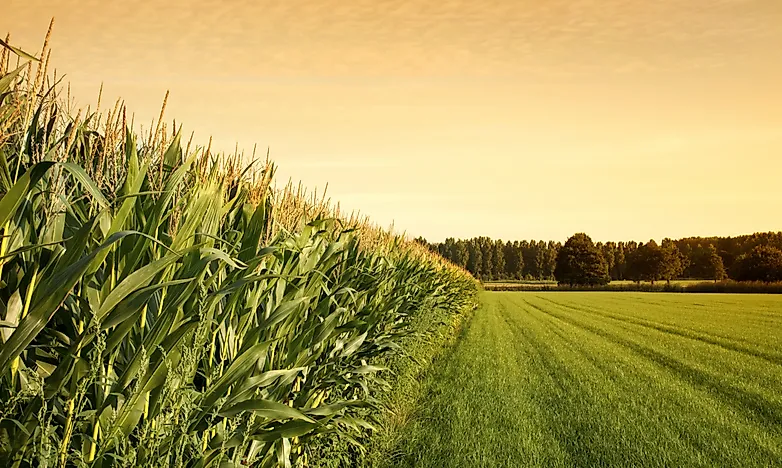 Which Countries Export the Most Food?
