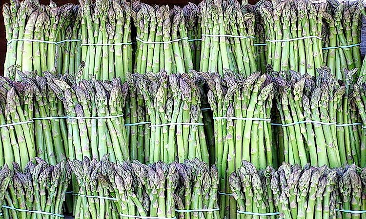 Top Asparagus Producing Countries In The World