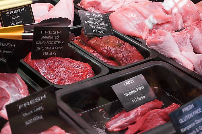 Top Exporters Of Rabbit, Squab, And Other Novelty Meats