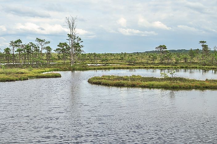 #3 Soomaa National Park