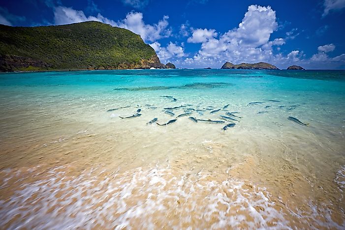 The Marine Parks of New South Wales, Australia