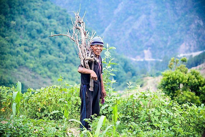 Where Do the Sherpa People Come From?