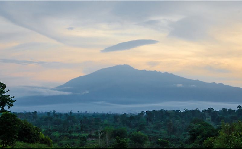 View of Mount Cameroon mountain with green forest during sunset. View of Mount Cameroon mountain with green forest during sunset.