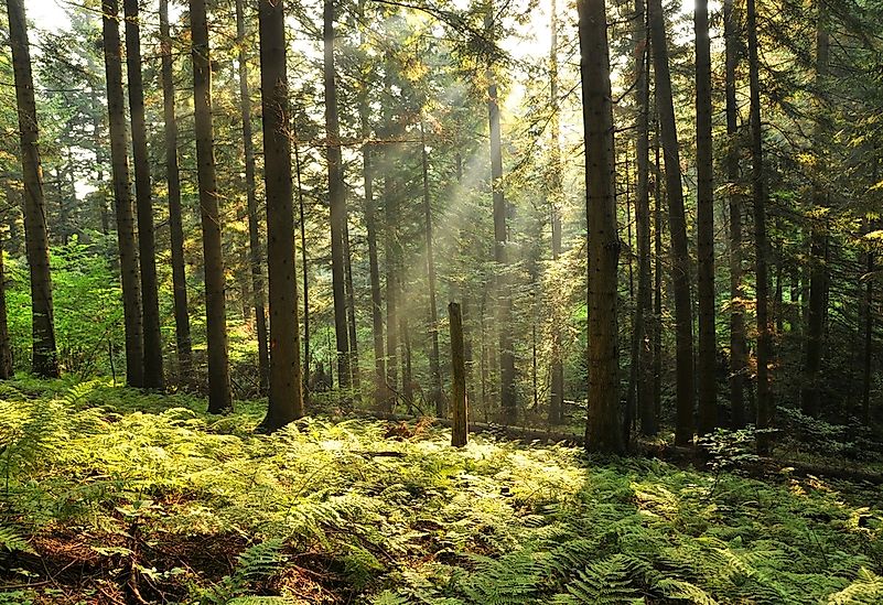 #20 Bieszczady National Park