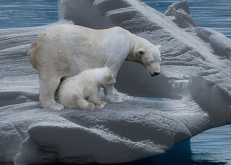 #1 Icebergs and Climate Change