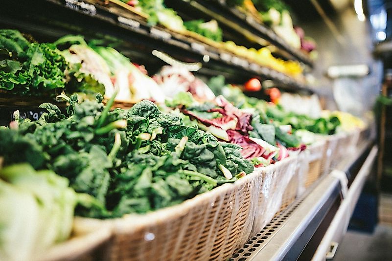 United Natural Foods is dedicated to sustainability. Photo by Scott Warman on Unsplash