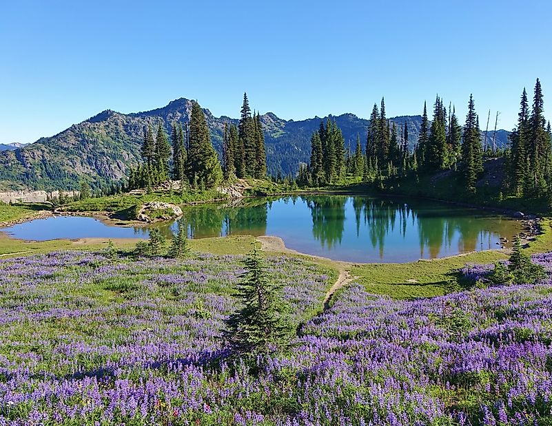 #3 Pacific Crest National Scenic Trail