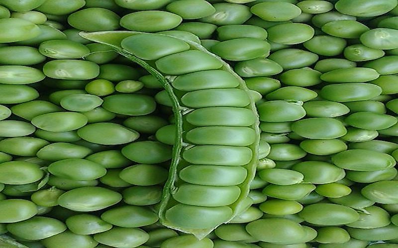 #5 Pea
