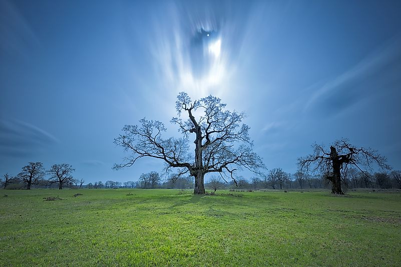 #3 Wielkopolska National Park