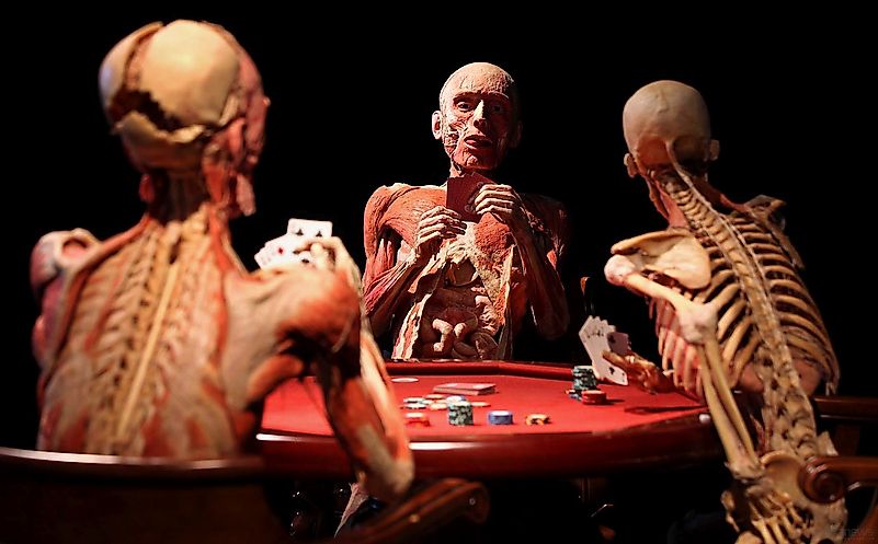 The use of various polymers was put to extreme use by a German chemist Gunther von Hagens. The use of various polymers was put to extreme use by a German chemist Gunther von Hagens.