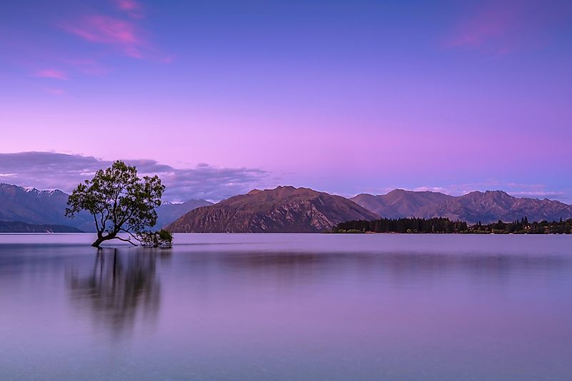 New Zealand is known for its natural beauty. Photo by Ken Cheung on Unsplash