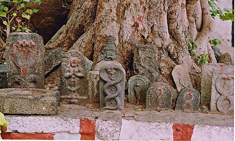 #19 Nag Panchami -