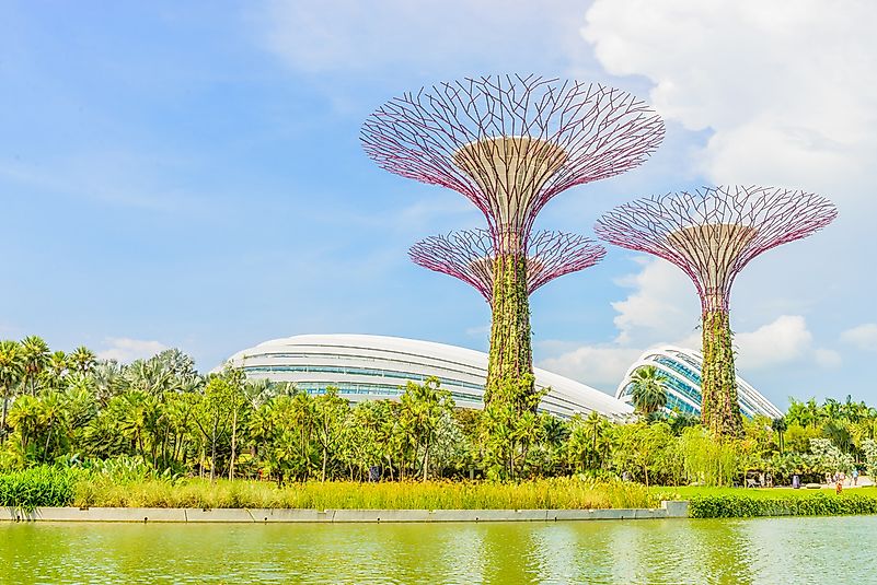 Gardens by the Bay, Singapore. Gardens by the Bay, Singapore.