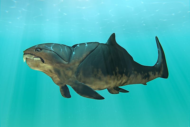 #2 Dunkleosteus
