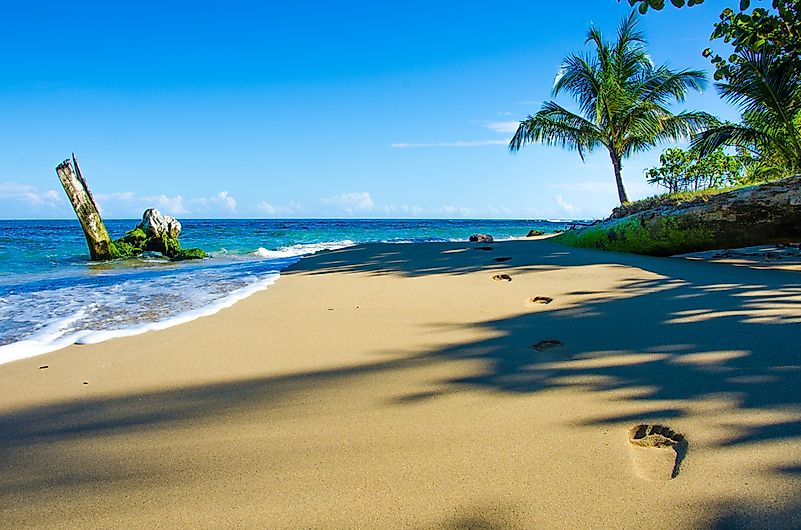 #1 Costa Rica