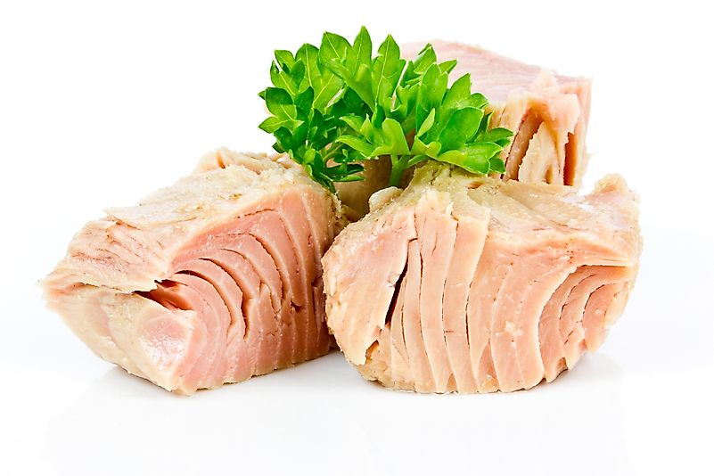 #3 Tuna