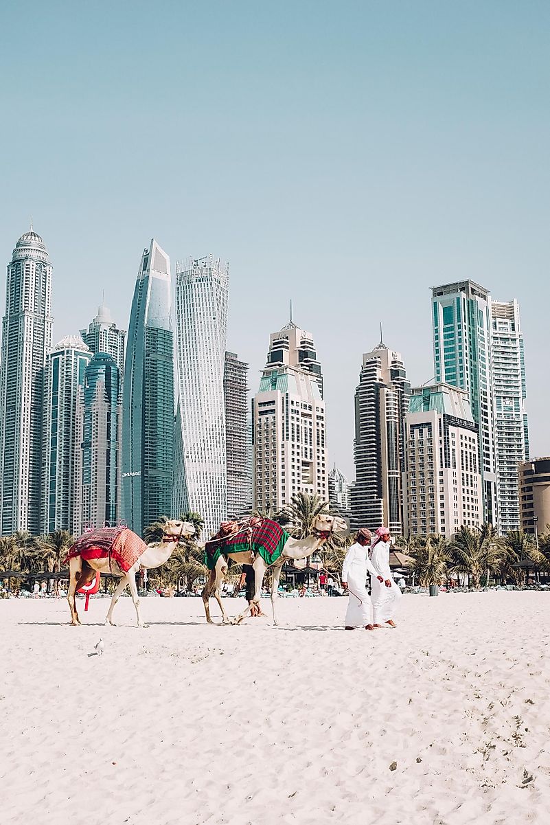 Photo by Fredrik Öhlander on Unsplash