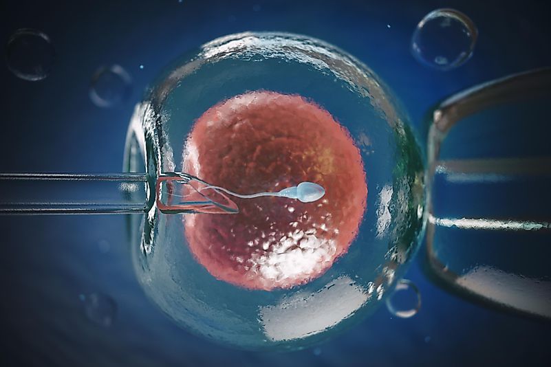 Lulu and Nana are the first two babies born with their genes been edited prior to birth. Lulu and Nana are the first two babies born with their genes been edited prior to birth.