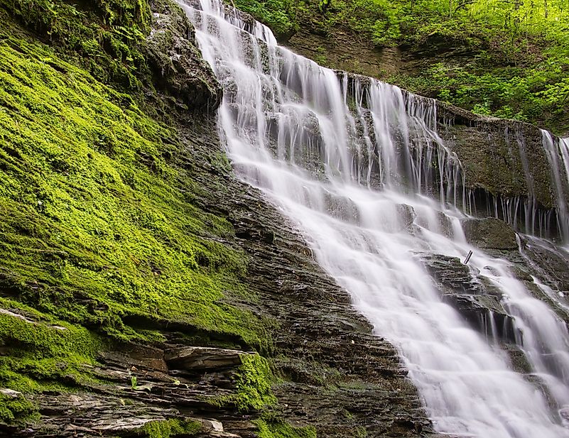 #10 Natchez Trace National Scenic Trail