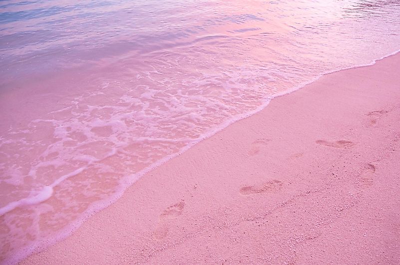 If you ever decide to visit the Bahamas, this beach should be on the list of places you will definitely want to visit. If you ever decide to visit the Bahamas, this beach should be on the list of places you will definitely want to visit.