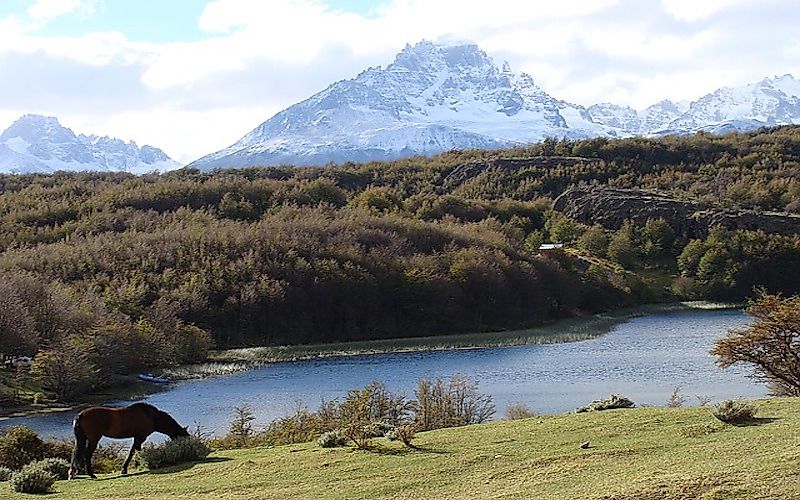 #8 Southern Chile