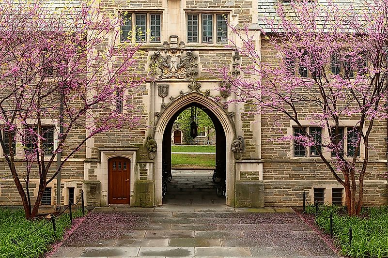 The campus of Princeton. The campus of Princeton.