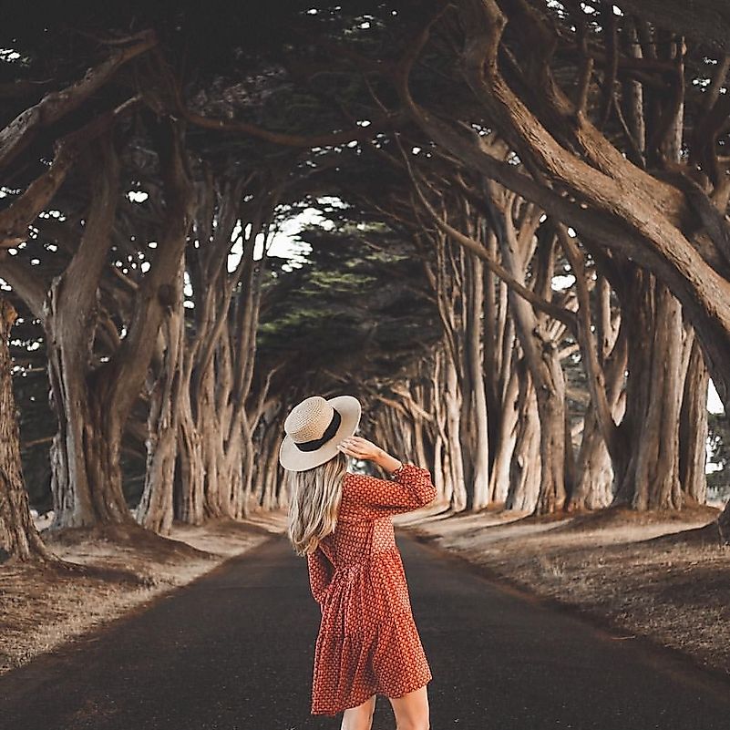 Pinterest.com