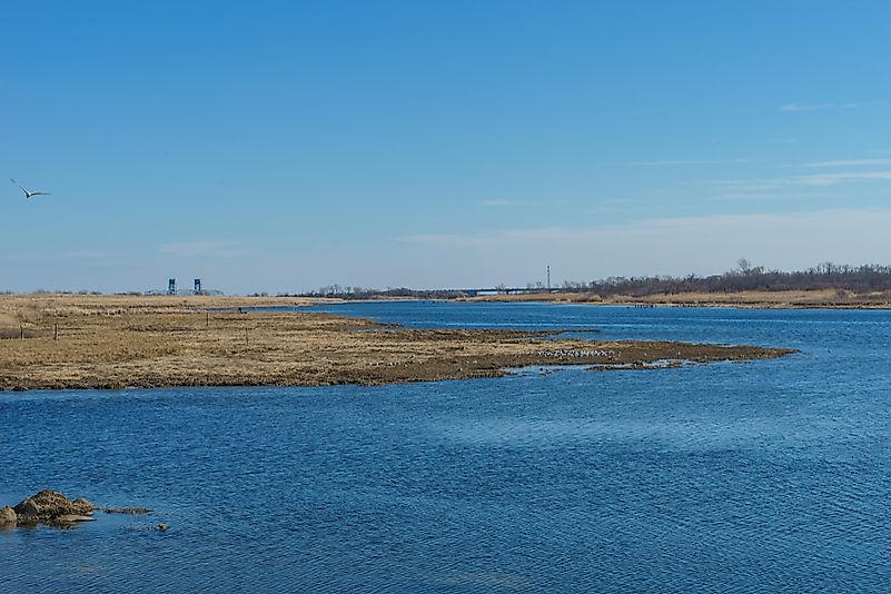 #7 Marine Park, Brooklyn