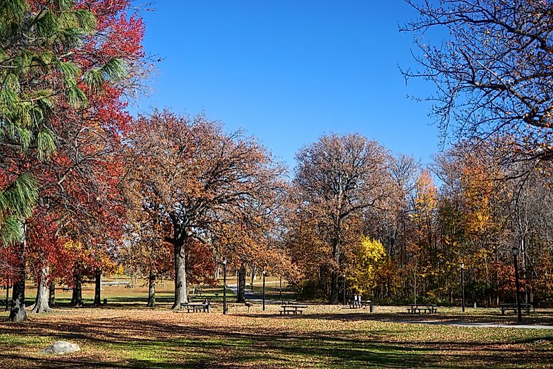 #1 Pelham Bay Park, Bronx