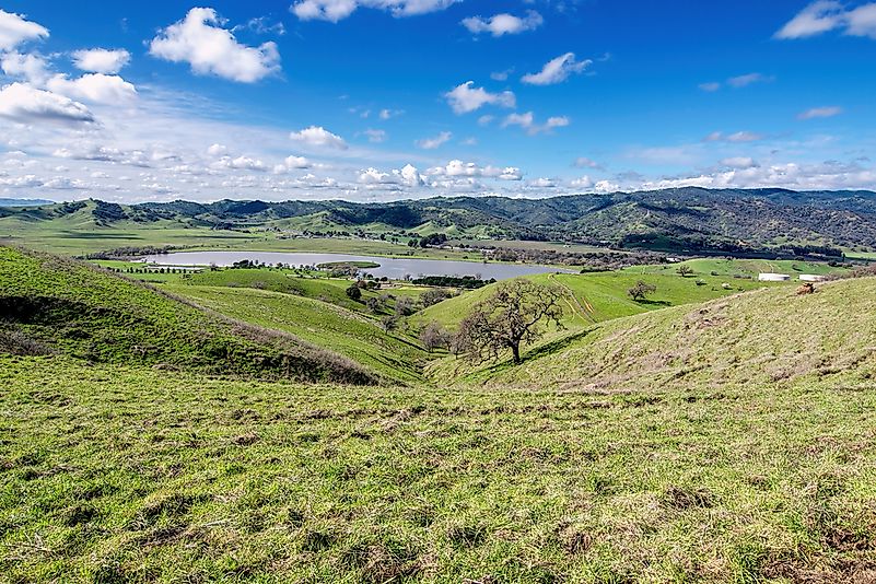 Chaparral shrubland ecoregion in California, US.