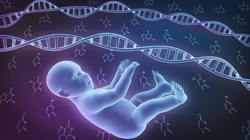 Editing the human genome is against the law across the globe. Editing the human genome is against the law across the globe.