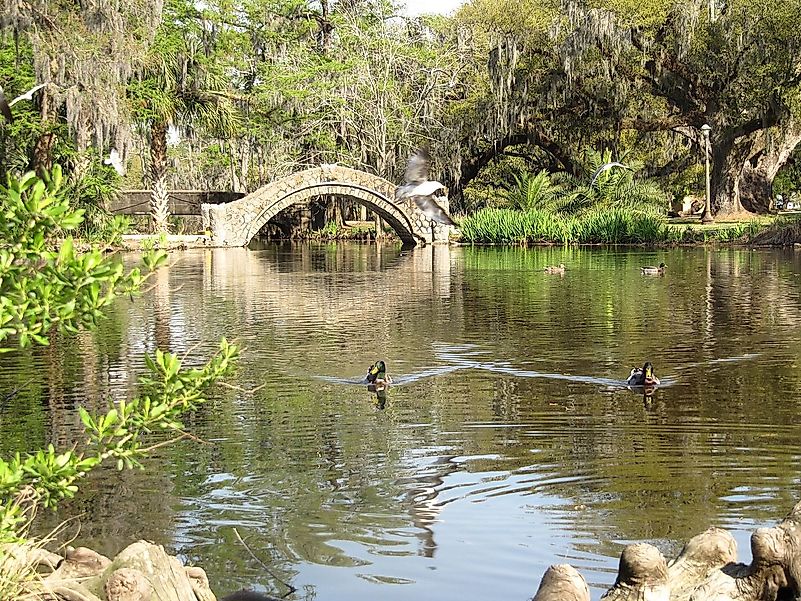 City Park, New Orleans. Image credit: Mr. Littlehand/Wikimedia.org City Park, New Orleans. Image credit: Mr. Littlehand/Wikimedia.org