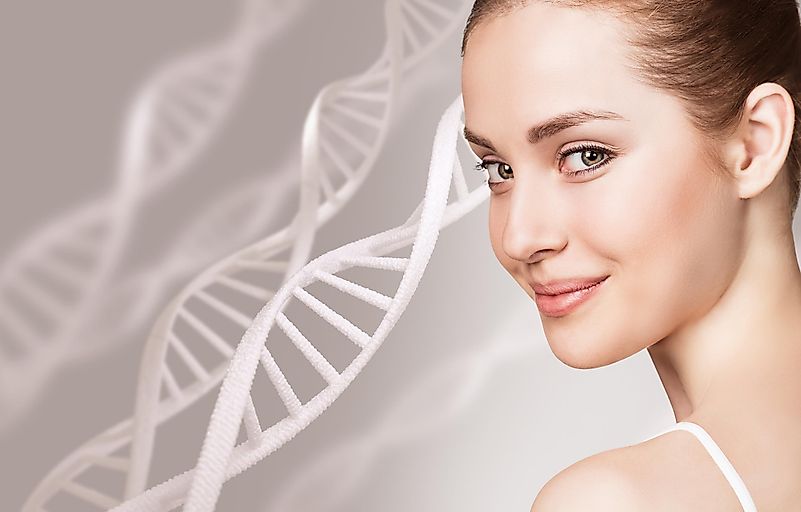 The stem cell research sure showed again the beauty of regeneration, and how it saves living organisms. The stem cell research sure showed again the beauty of regeneration, and how it saves living organisms.