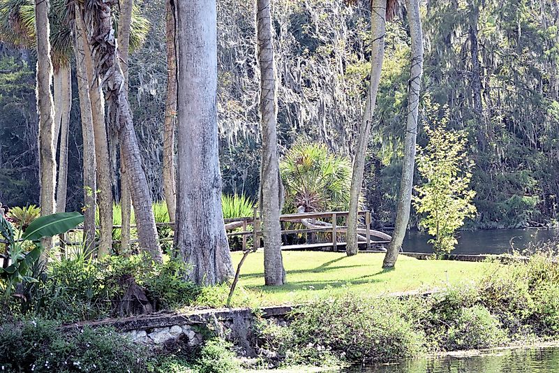 #2 Silver Springs