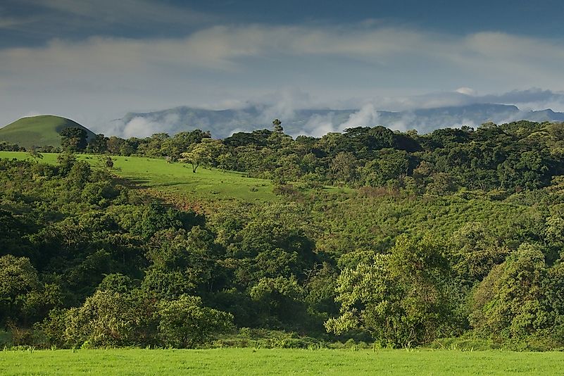 #5 Guinean Forests of West Africa