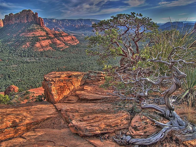 The spectacular scenery of Sedona. Image credit: Skeeze from Pixabay The spectacular scenery of Sedona. Image credit: Skeeze from Pixabay