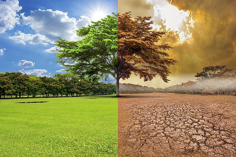 #4 Sixth Mass Extinction Caused by Global Warming