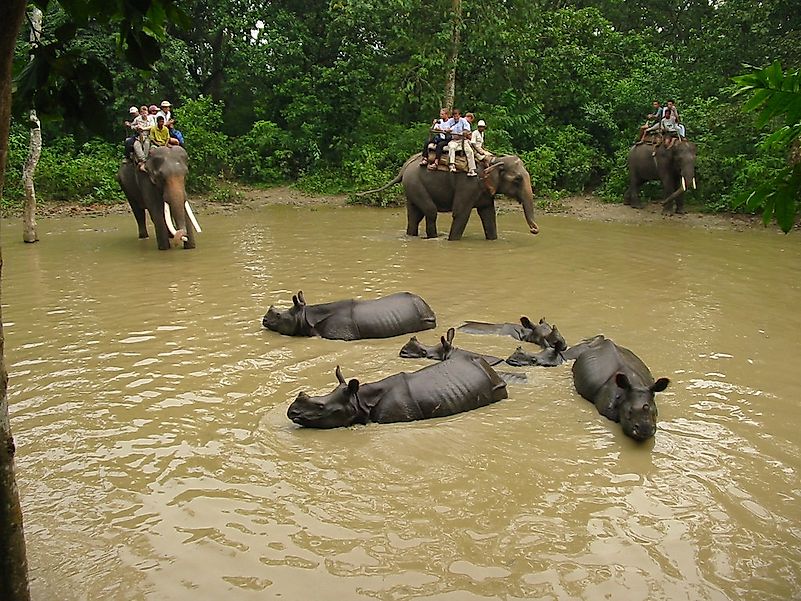 #9 Chitwan National Park