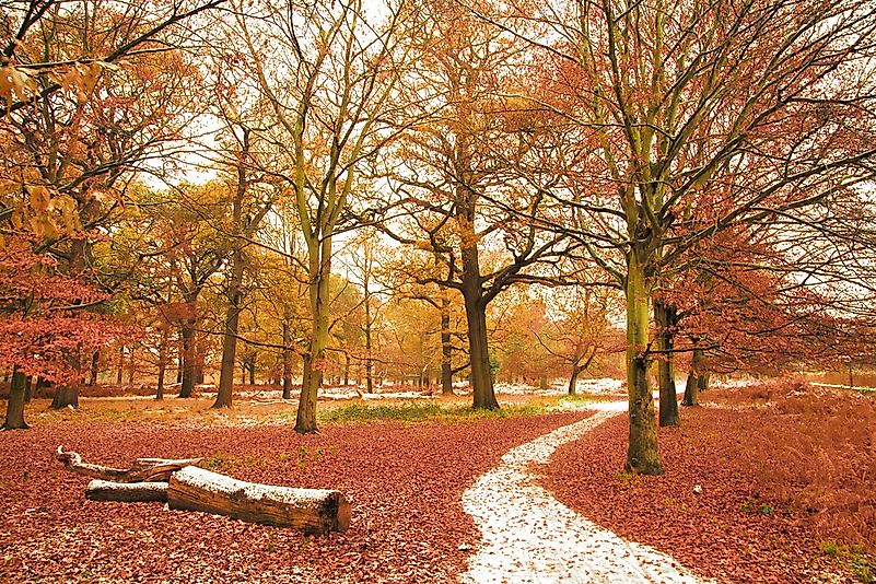 #1 Richmond Park