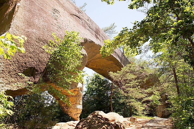 Sky Bridge is a natural stone arch bridge in the Red River Gorge.