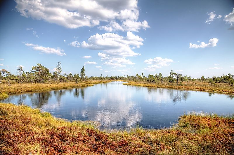 #3 Ķemeri National Park