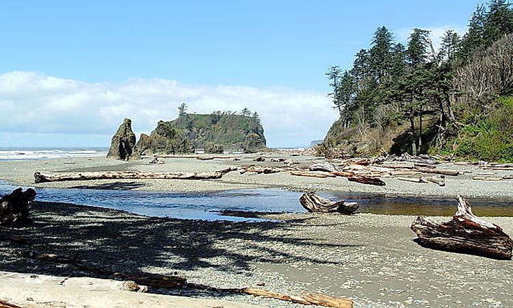 #5 The Olympic National Park and the Olympic National Forest -