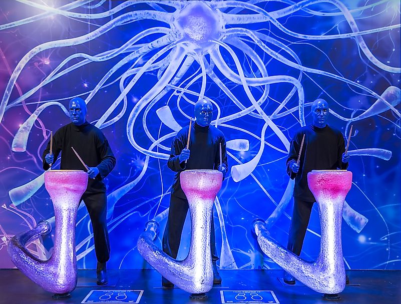 Photo by mariakray on Shutterstock.com