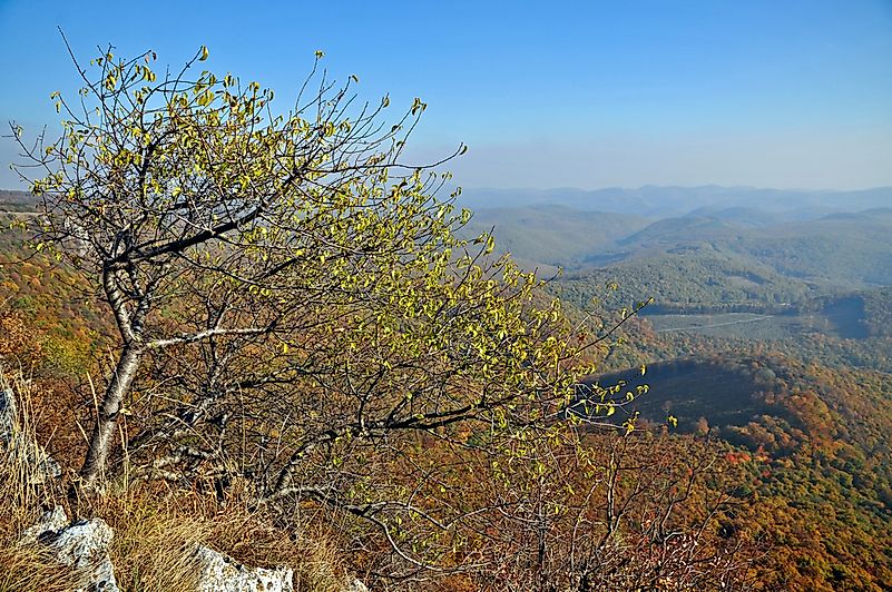 #8 Bükk National Park