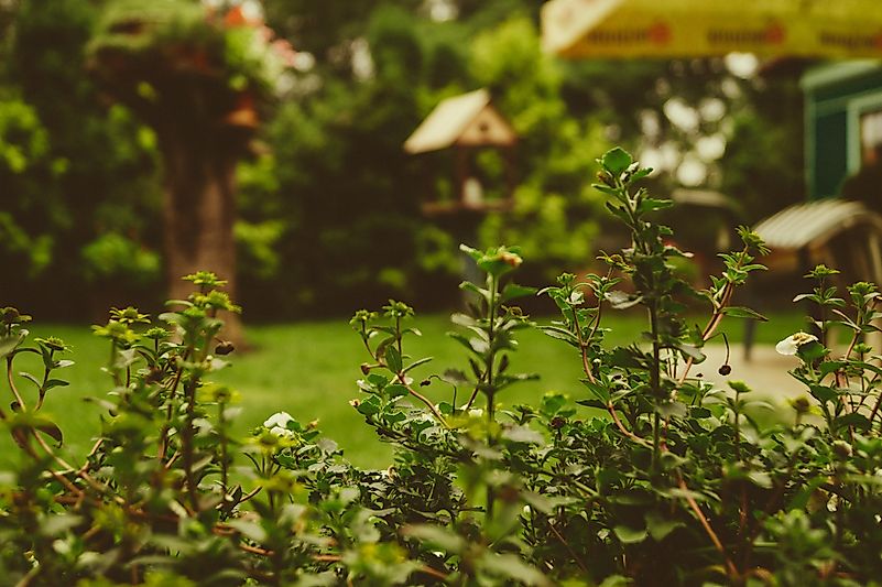 Foto de Martin Kníže no Unsplash