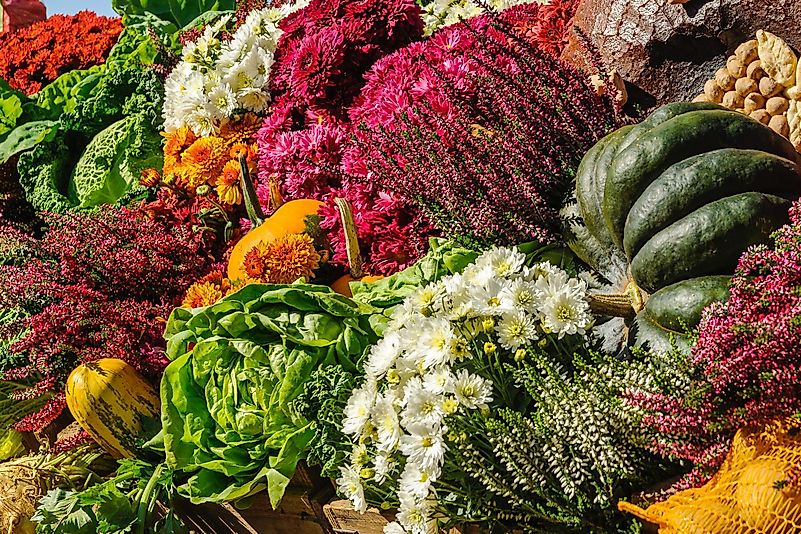 German chefs take pride in the country's fresh ingredients. Photo by Alexander Schimmeck on Unsplash