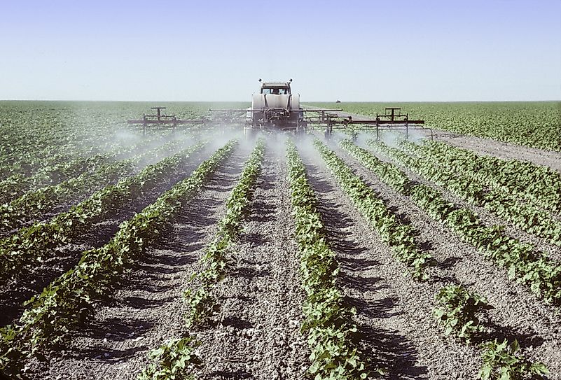 Crops in the San Joaquin Valley. Crops in the San Joaquin Valley.